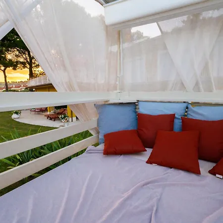 Tra Gli Alberi E Il Mare