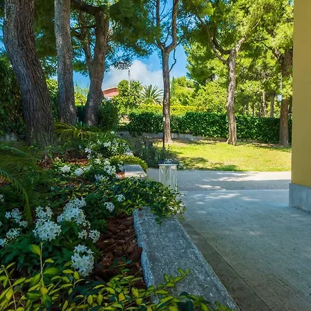 Tra Gli Alberi E Il Mare 4*