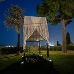 Tra Gli Alberi E Il Mare