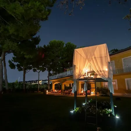 Tra Gli Alberi E Il Mare *