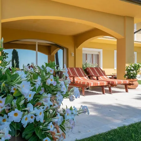 Tra Gli Alberi E Il Mare