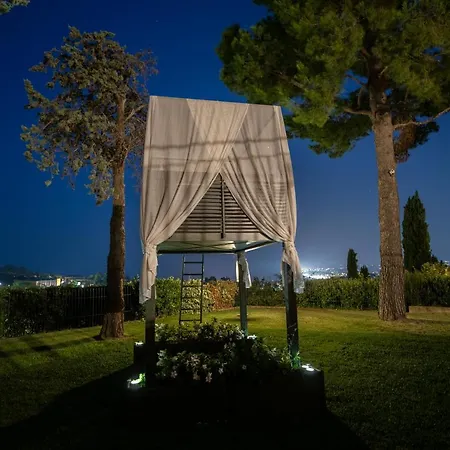 Tra Gli Alberi E Il Mare