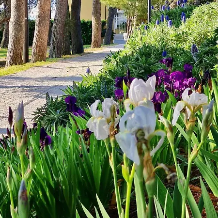 Bed & Breakfast Tra Gli Alberi E Il Mare *