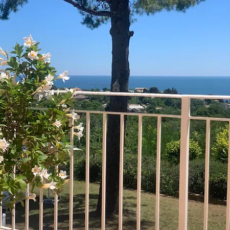 Tra Gli Alberi E Il Mare