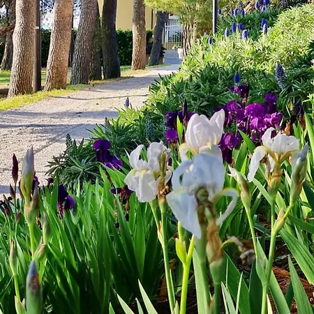 Tra Gli Alberi E Il Mare Bed & Breakfast