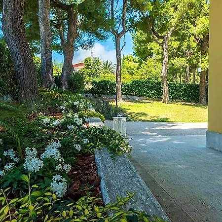 Tra Gli Alberi E Il Mare 4*