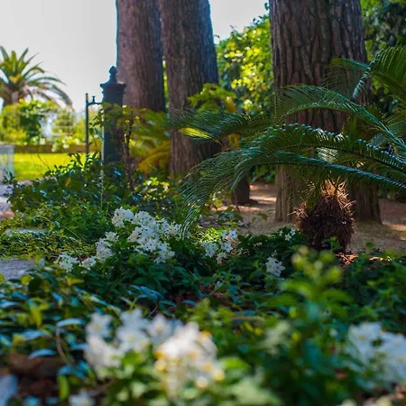 Tra Gli Alberi E Il Mare * Sirolo
