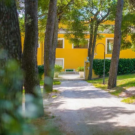 לינה וארוחת בוקר Tra Gli Alberi E Il Mare