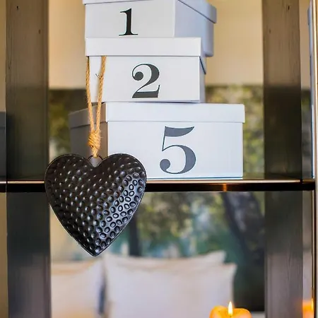 Tra Gli Alberi E Il Mare