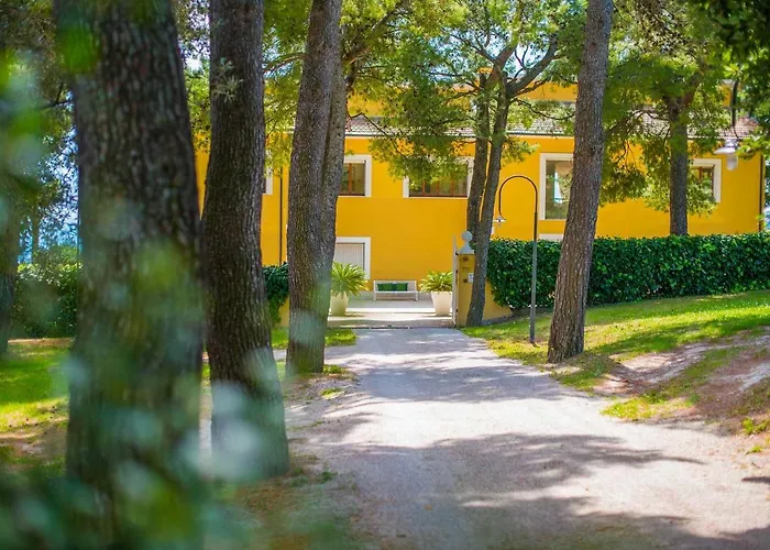 Couette-café Tra Gli Alberi E Il Mare