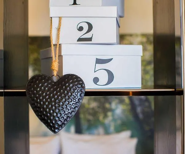 Tra Gli Alberi E Il Mare